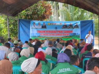Kapolres Sigi Hadiri Tanam Perdana Padi Sawah Rakyat