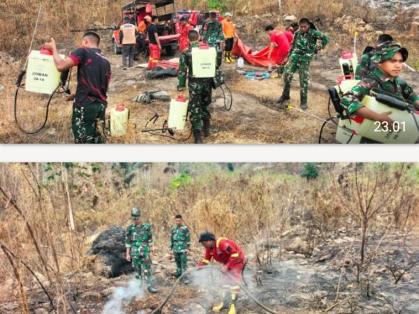 Sinergi TNI, Polri, BPBD, Tagana, Damkar, Ormas dan Masyarakat Berhasil Padamkan Karhutla di Parigi Moutong
