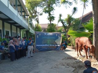 Sambut Idul Adha 1447 H,SMAN 2 Ponorogo Tanamkan Nilai Keikhlasan dan Gotong Royong Lewat Ibadah Qurban